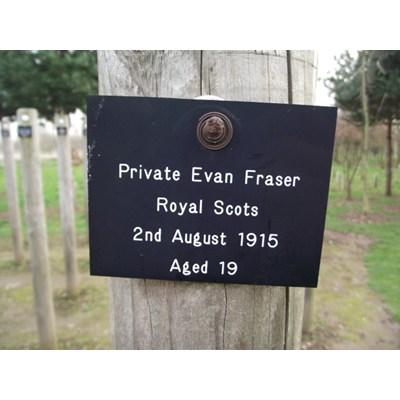Evan Fraser Evan Fraser