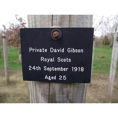 David Gibson David Gibson