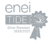 Enei silver award