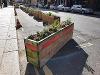 Merchant City Planters 2