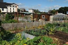 Allotment view Displays a larger version of this image in a new browser window