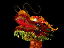 Dragon Chinese New Year 