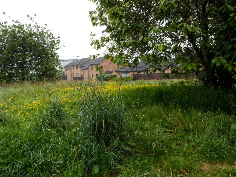 Vacant site in Maryhill to be sold by council for £1 to Barnardo's Scotland 