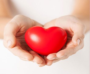 Red heart shaped object sitting in the palms of two hands cusped together 